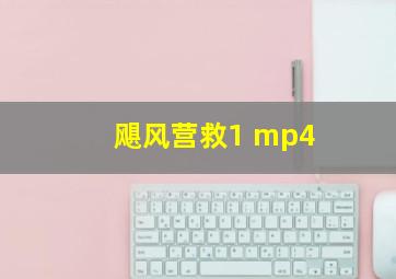 飓风营救1 mp4